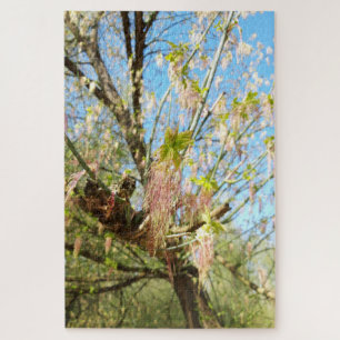 Lost Places , Meadowlands nature, Spring awakening Jigsaw Puzzle