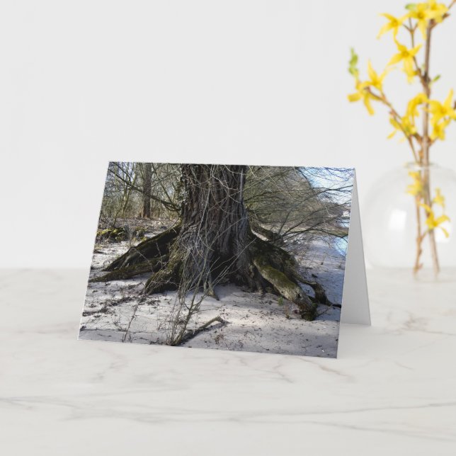 Lost Places , old Tree on the river bank Card (Yellow Flower)