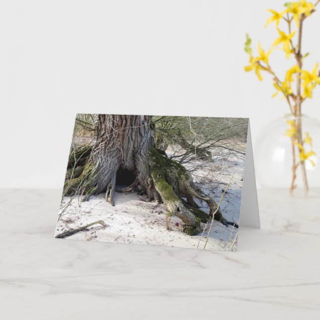 Lost Places , old Tree on the river bank Card (Yellow Flower)