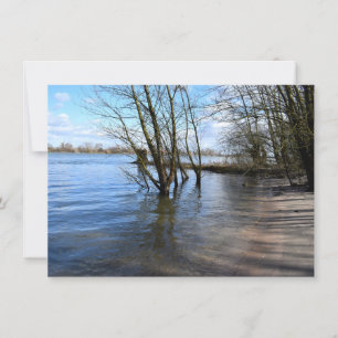 Lost Places , Trees on the river bank Card
