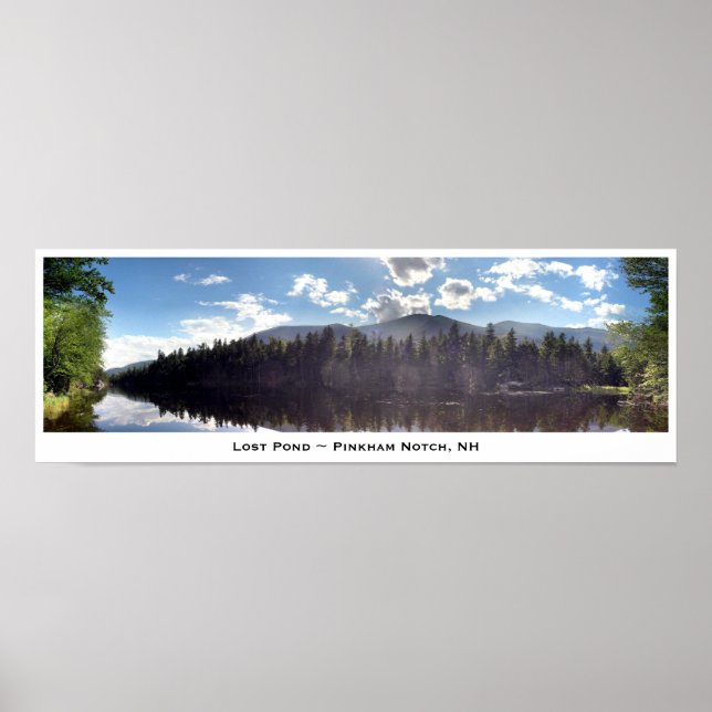 Lost Pond ~ Pinkham Notch, NH Poster (Front)