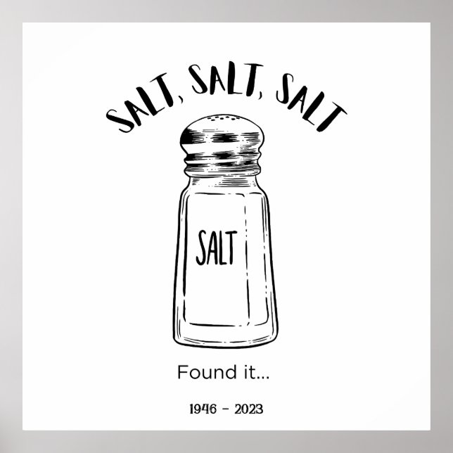 Lost shaker of salt - fond it  poster (Front)