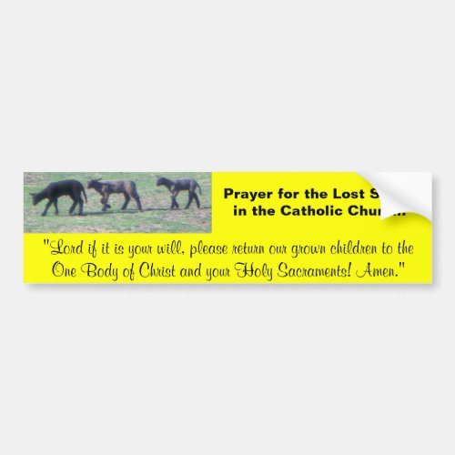 Lost Sheep Bumper Sticker and Prayer