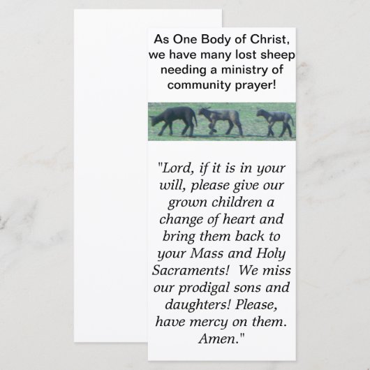 Lost Sheep Catholic Paryer Rack Card (Front/Back)