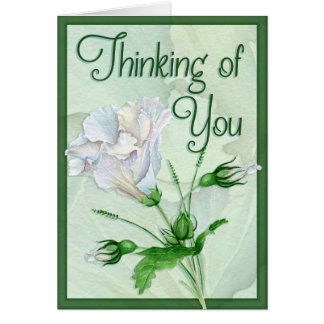 Lost Someone Precious Cards