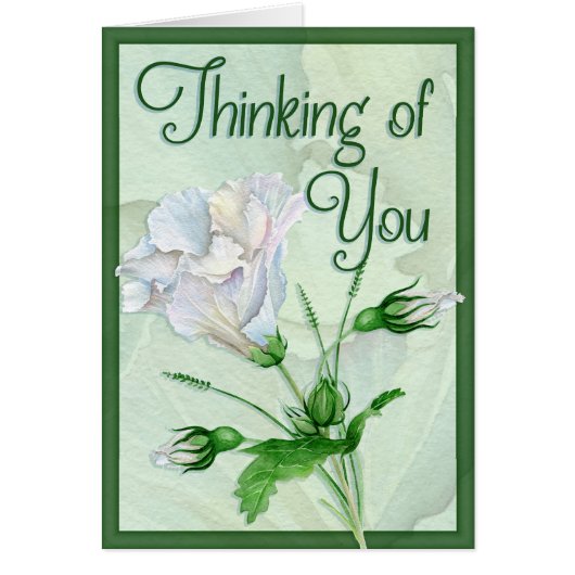 Lost Someone Precious Cards (Front)