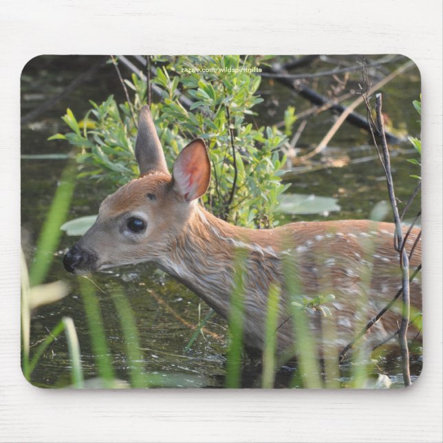 Lost Virginia Deer Fawn Baby Animal Wildlife Photo Mouse Pad (Front)