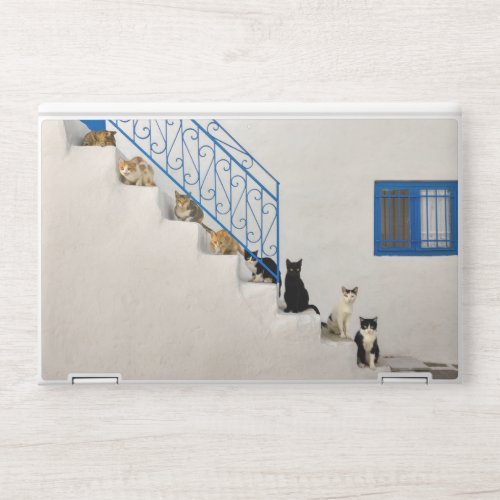 Lot of cats on a white stairway in a Greek village HP Laptop Skin