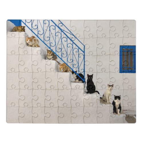 Lot of cats on a white stairway in a Greek village Jigsaw Puzzle