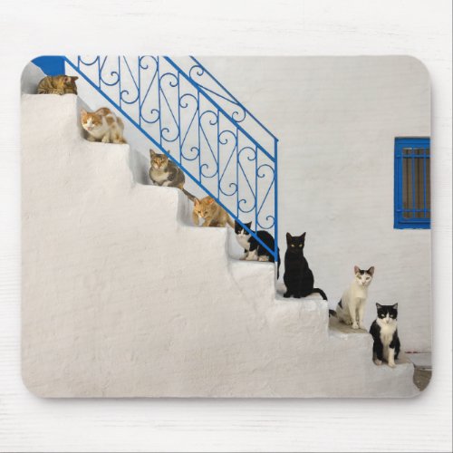 Lot of cats on a white stairway in a Greek village Mouse Pad