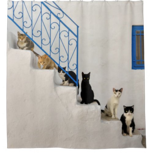 Lot of cats on a white stairway in a Greek village Shower Curtain