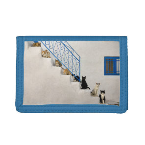 Lot of cats on a white stairway in a Greek village Tri-fold Wallet
