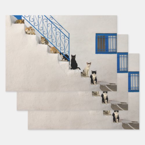Lot of cats on a white stairway in a Greek village Wrapping Paper Sheets