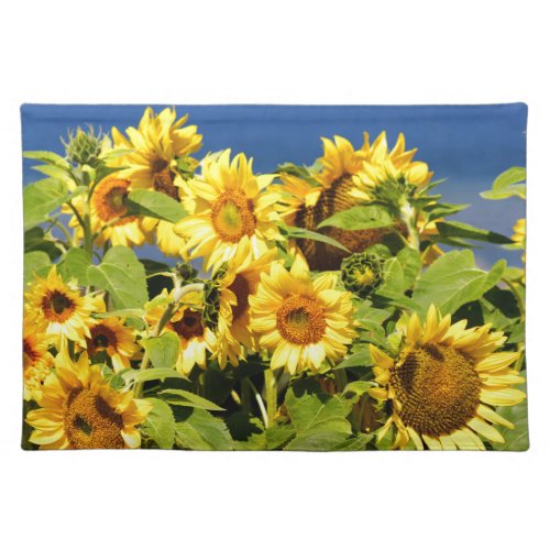 Lot of colorful sunflower in bloom placemat