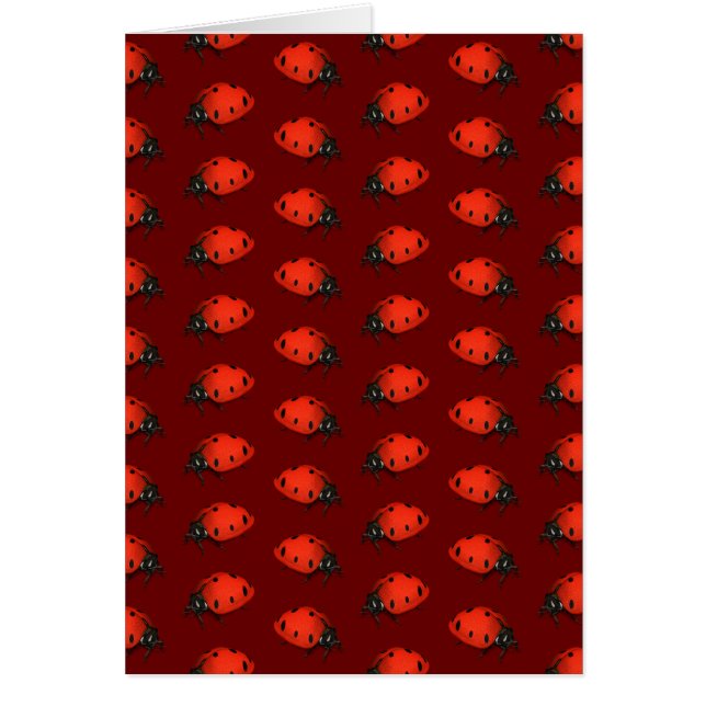 Lot Of Ladybugs Cards (Front)