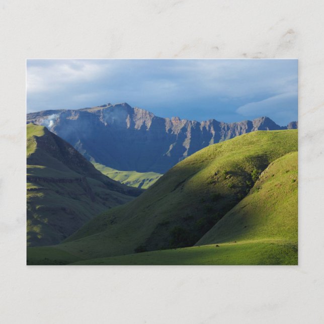 Lotheni, Ukhahlamba / Drakensberg Park Postcard (Front)
