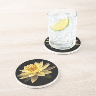Lotos Sandstone Coaster