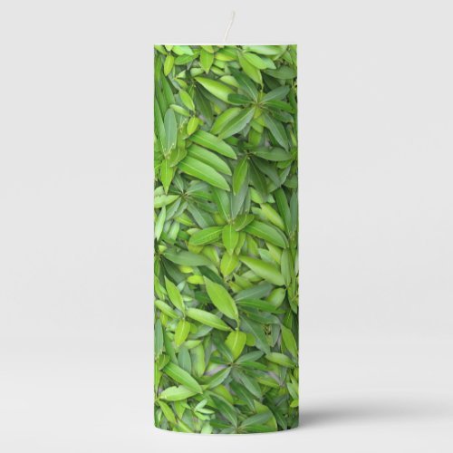 Lots of beautiful green leaves   pillar candle