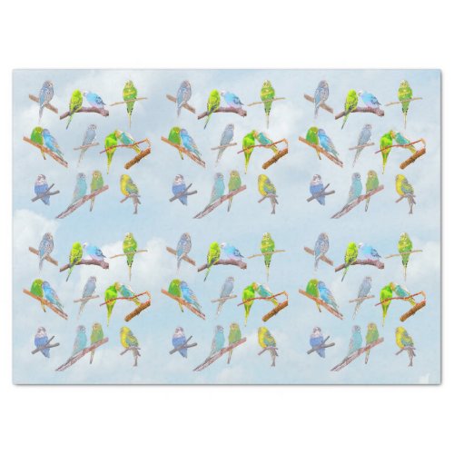 Lots of colorful parakeets _ cute little birds tissue paper