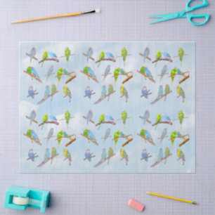 Lots of colorful parakeets - cute little birds tissue paper