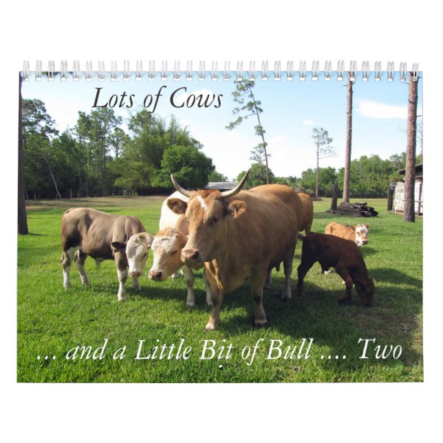Lots of Cows & a Bit of Bull Too Calendar (Cover)