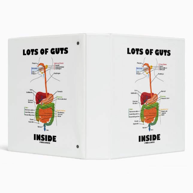 Lots Of Guts Inside Digestive System Humor 3 Ring Binder (Background)