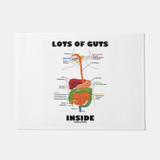Lots Of Guts Inside Digestive System Humor Doormat