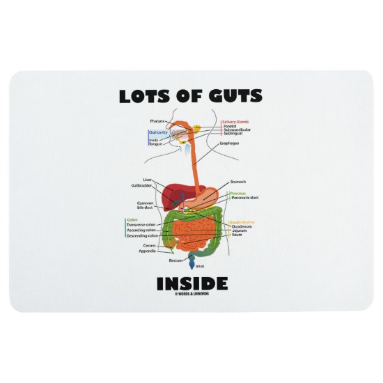 Lots Of Guts Inside Digestive System Humor Floor Mat