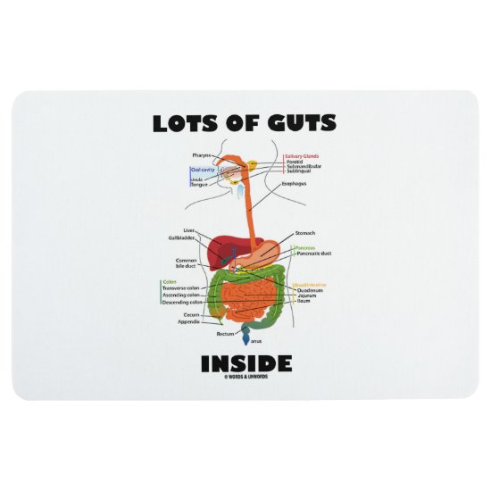 Lots Of Guts Inside Digestive System Humor Floor Mat