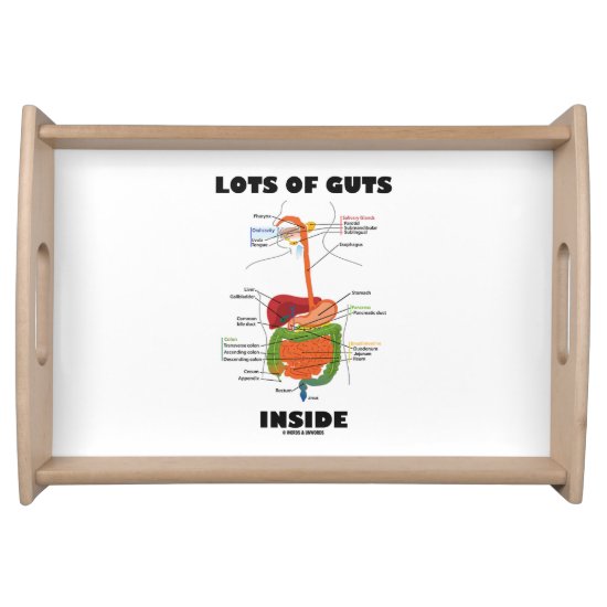 Lots Of Guts Inside Digestive System Humor Serving Tray