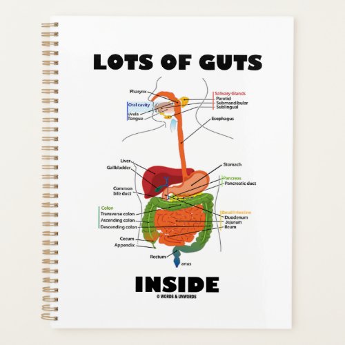Lots Of Guts Inside Digestive System Planner
