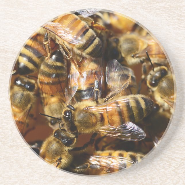 Lots of Honey Bees Drink Coaster (Front)