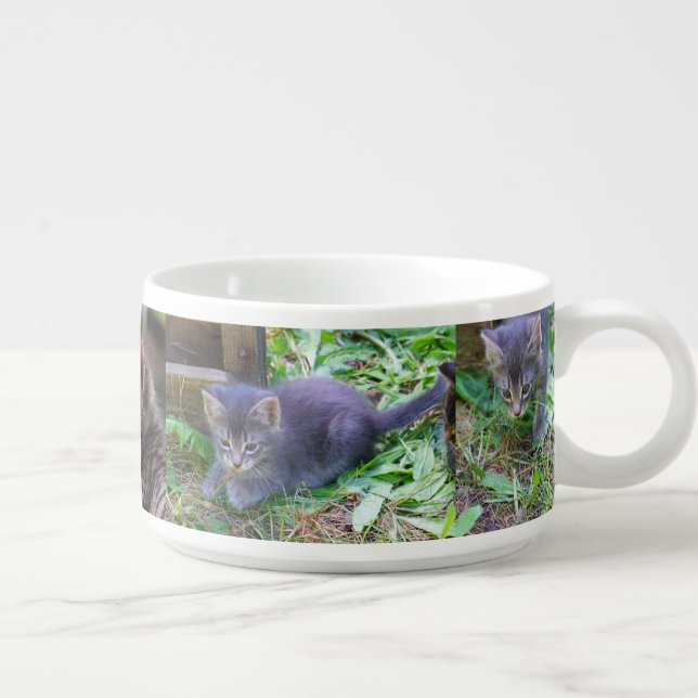 Lots of kittens chili bowl (Left)