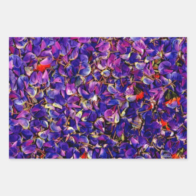 Lots of Lupine Petals  Wrapping Paper Sheets (Front)