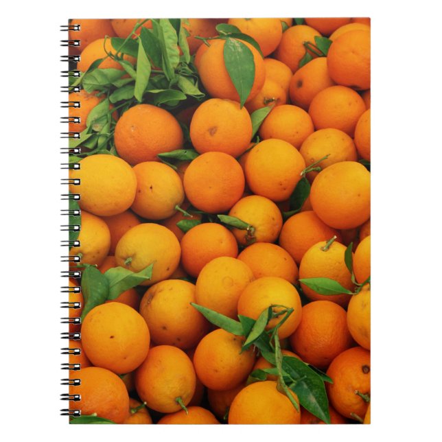Lots of Oranges Notebook (Front)