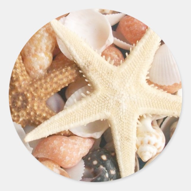 Lots of Seashells Classic Round Sticker (Front)