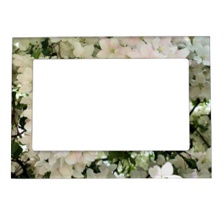 Lots Of White Spring Flower Blossoms Magnetic Frame