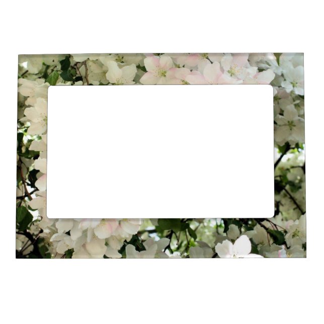 Lots Of White Spring Flower Blossoms  Magnetic Frame (Front)
