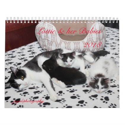 LOTTIE AND HER BABIES 2018 CALENDAR