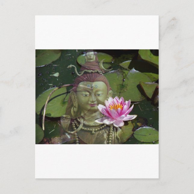 Lotus 1 & Buddha Postcard (Front)