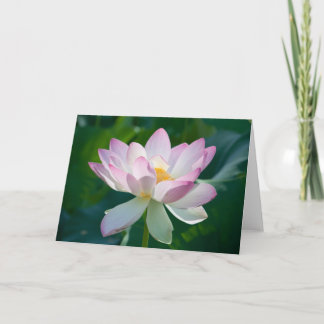 Lotus #2521 card