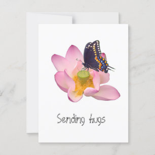 Lotus and butterfly postcard