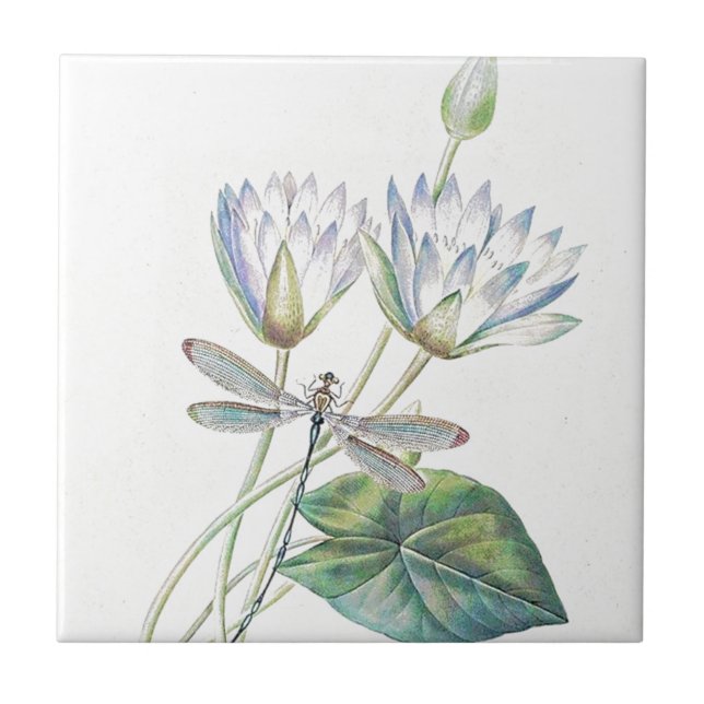 Lotus and dragonfly ceramic tile (Front)