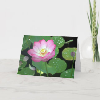 Lotus Beauty Card