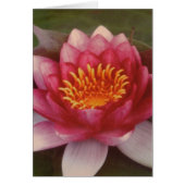 Lotus Blossom - By Logan Guinn (Front)