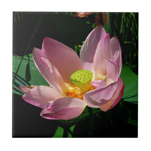 Lotus Blossom Ceramic Tile