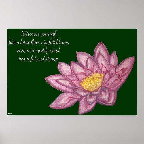 Lotus Blossom Lily Pad Poster