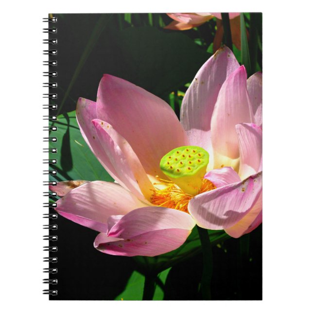 Lotus Blossom Notebook (Front)
