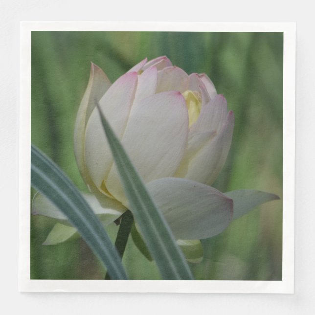 Lotus Blossom Paper Dinner Napkins (Front)