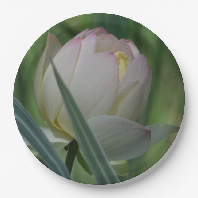 Lotus Blossom Paper Plates (Front)